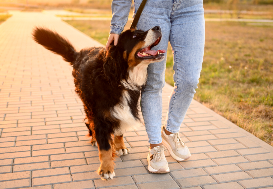 10 ezer lépés: hány kalóriát égetsz el valójában? – fitneszszakértők elárulják az igazságot, főkép