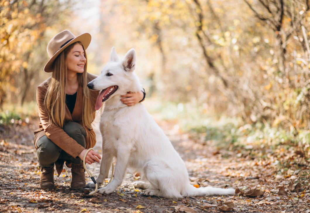 Napi horoszkóp, 2025. november 13.: A Szűz ne féljen flörtölni, a Bakot továbbképzésre küldik