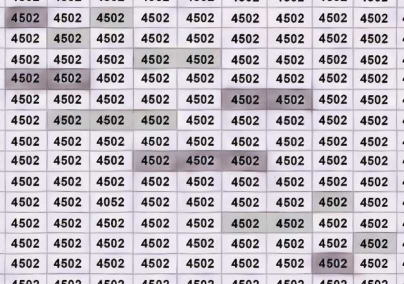 Fejtörő: csak a valódi lángelmék találják meg a 4502-esek között a 4052-est