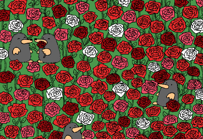 Megtalálod a 3 szívet a rózsák között 30 másodperc alatt? Csak a legintelligensebbeknek sikerül!