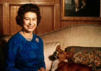 Erzsébet királynő kutyáinak a sorsával foglalkozik most mindenki 