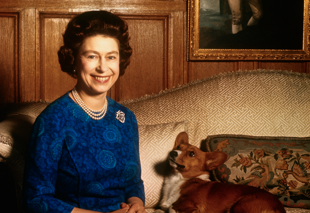 Erzsébet királynő kutyáinak a sorsával foglalkozik most mindenki 