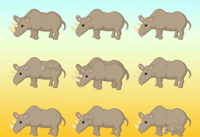 Hány rinocéroszt látsz a képen? Nagyon kevesen találják meg a megoldást 11 másodperc alatt