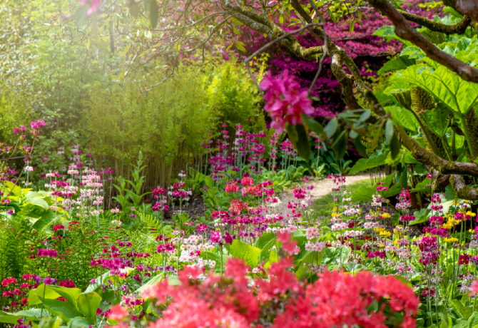 A legjobb kertészek az Instagramon, akiket érdemes követni 