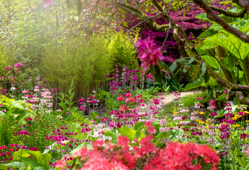 A legjobb kertészek az Instagramon, akiket érdemes követni 