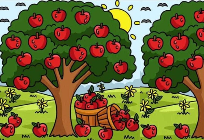Kivételes képességeid vannak, ha megtalálod a 3 különbséget az almafák közt 11 másodperc alatt