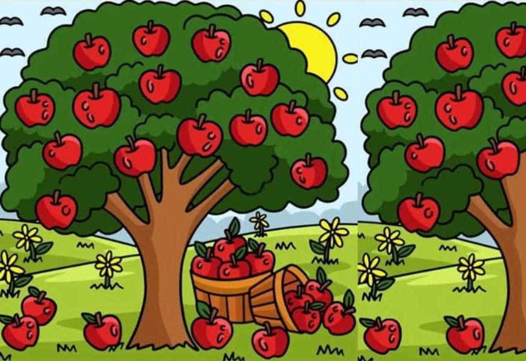 Kivételes képességeid vannak, ha megtalálod a 3 különbséget az almafák közt 11 másodperc alatt