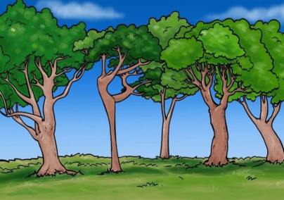 Briliáns elm...