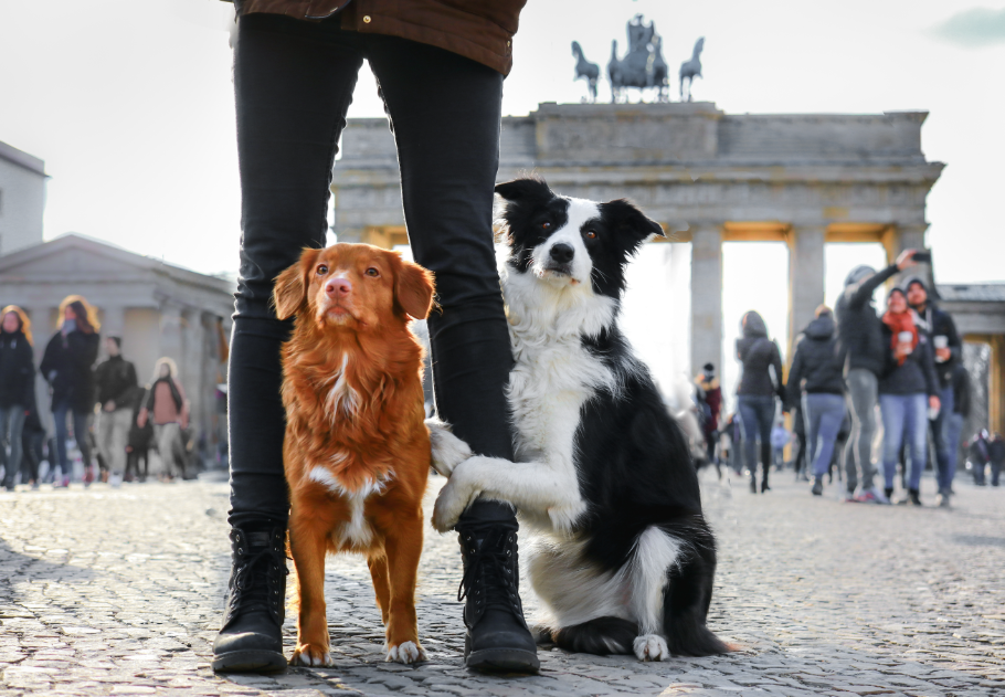 13+1 érdekesség Berlinről: döner, kutyák, hidak és a világ leghosszabb szabadtéri galériája, főkép