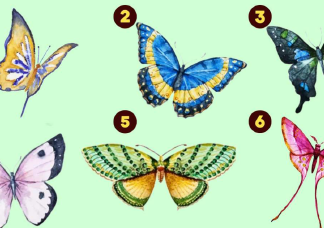 Melyik pillangót választod? – Elárulja a legnagyobb erősségeidet
