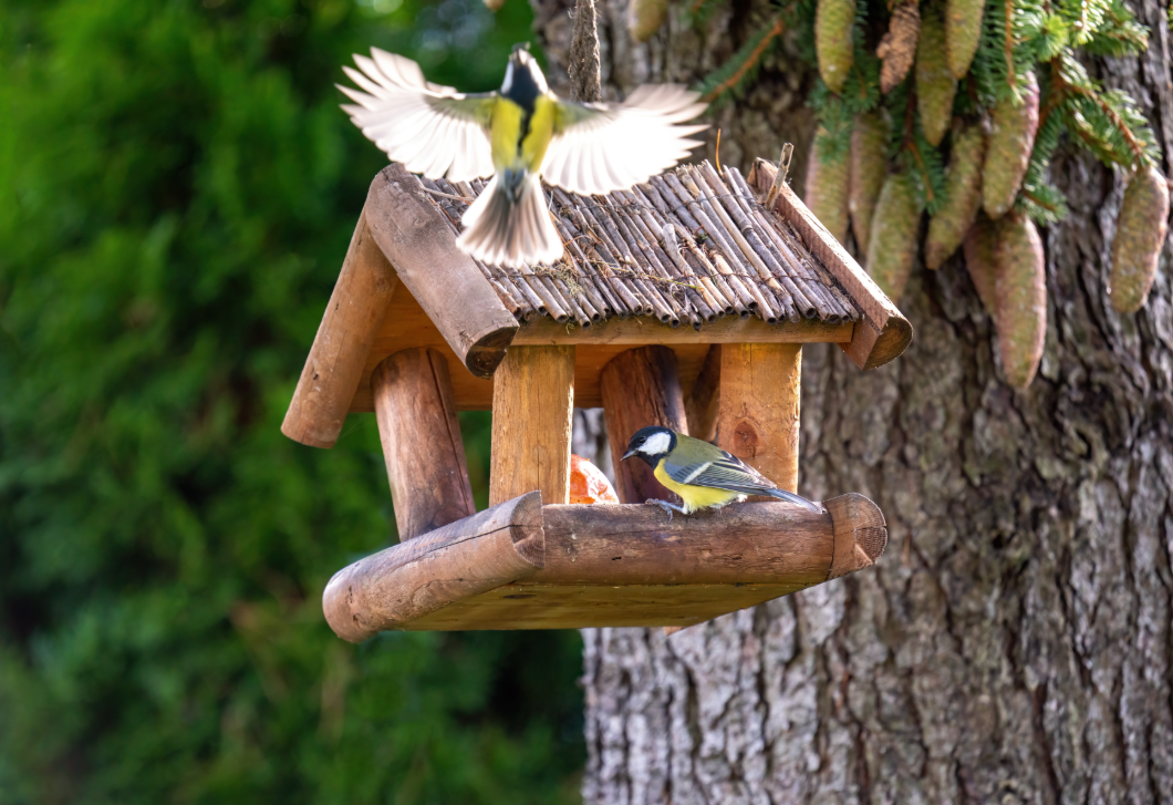 Áprilistól ezt már ne tedd se a kertben, se az erkélyen – inkább ártasz vele, mint segítesz