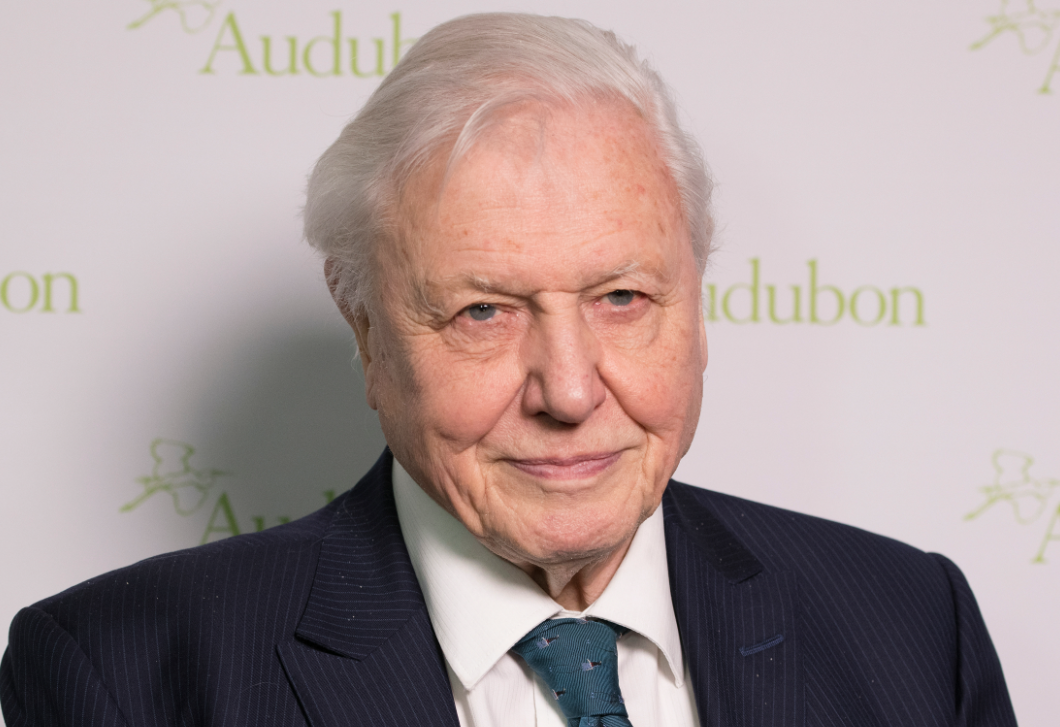 100 éves lett David Attenborough - ez lehet a hosszú életének a titka?