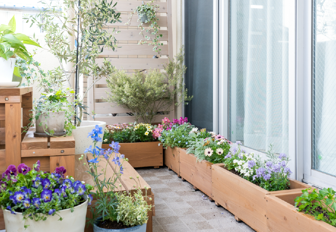Ezzel a 4 egyszerű lépéssel elkészítheted a saját kertedet az erkélyen