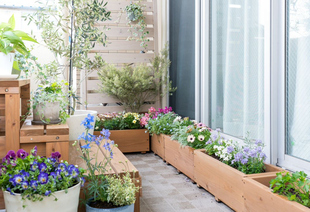Ezzel a 4 egyszerű lépéssel elkészítheted a saját kertedet az erkélyen