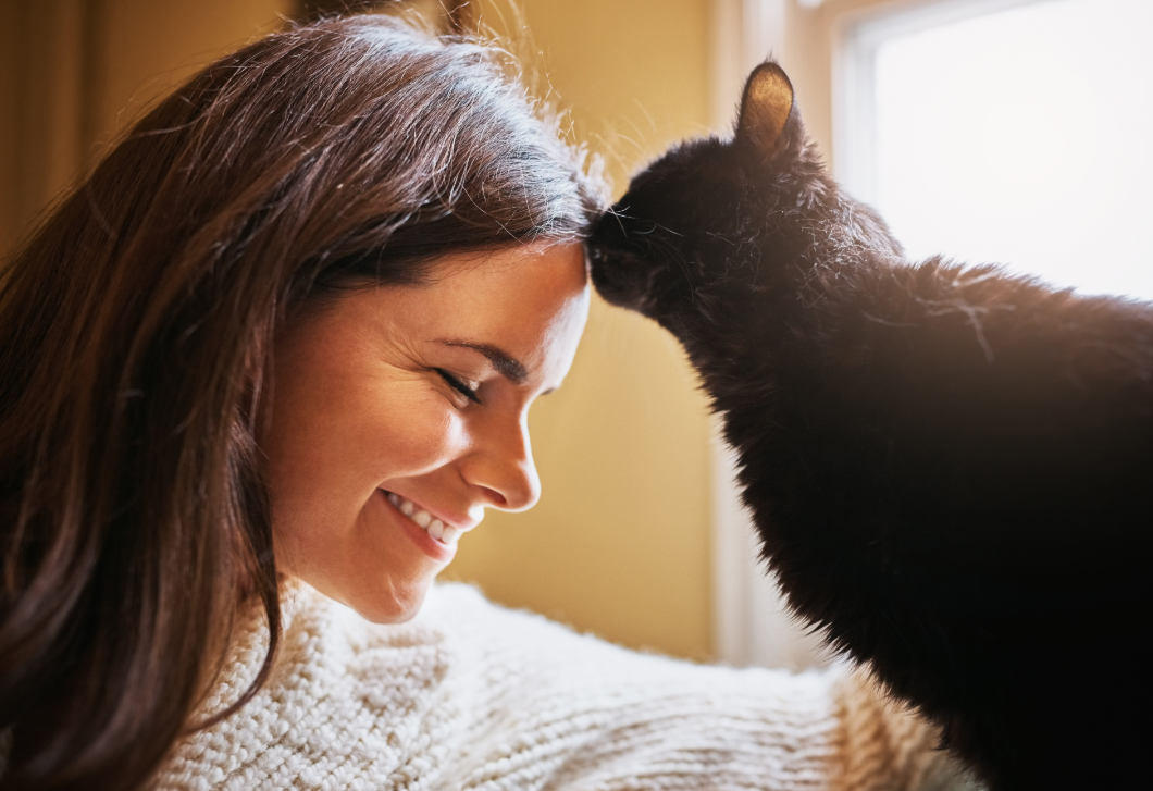 Az ezotéria szerint ez a macska véd meg az ártó szellemektől