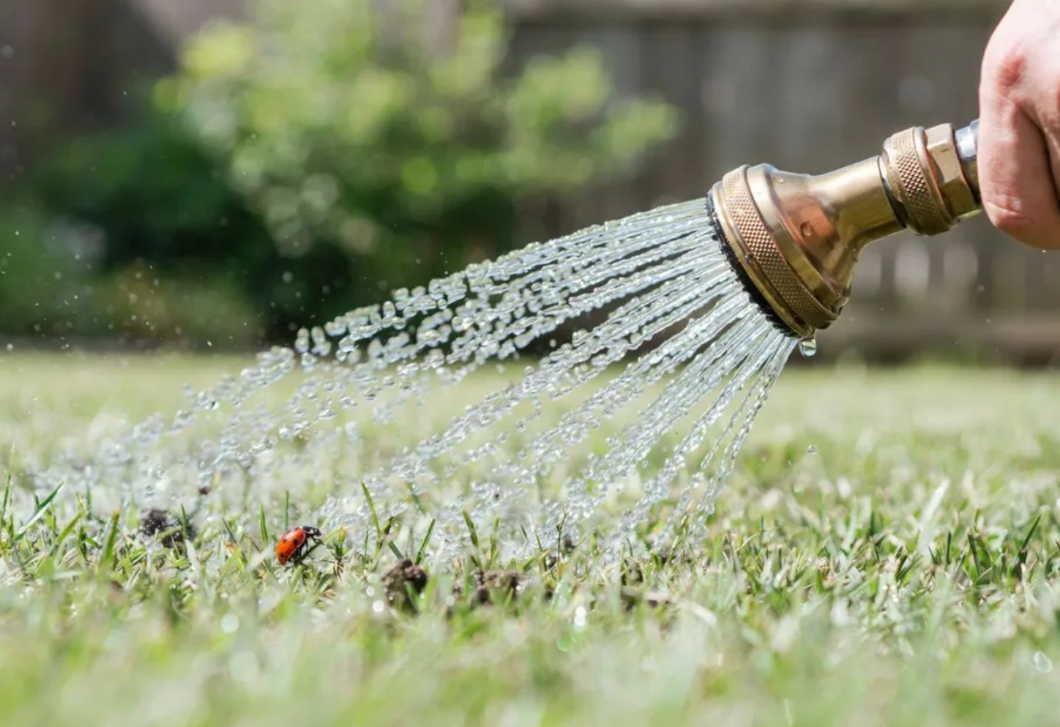 Nem késő füvet vetni júniusban? A szakértők szerint még most is sikerrel járhatsz