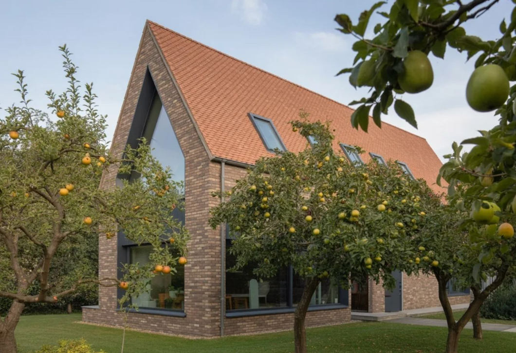 A hiba, amit szinte mindenki elkövet a gyümölcsfáknál – és évekre tönkreteszi a kertet