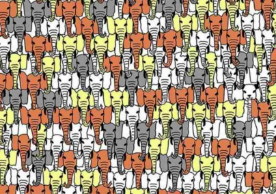 Nagyon éles a látásod, ha 5 másodperc alatt megtalálod a pandát a képen
