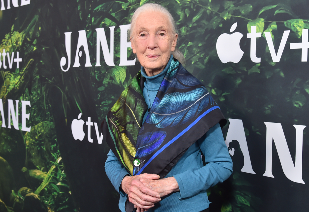 Íme a 9 életlecke, amit Jane Goodall hagyott ránk