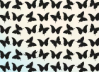 Megtalálod a kakukktojást a pillangók között? Csak nagyon keveseknek sikerül 5 másodperc alatt