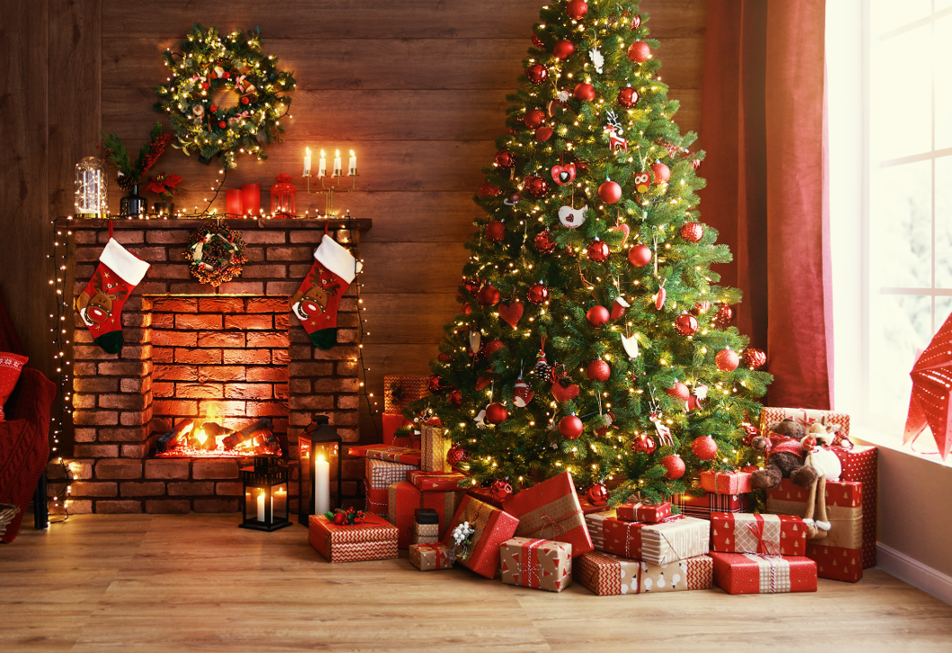 A szakértő elárulta, melyek legjobb időpont a karácsonyfa megvásárlására