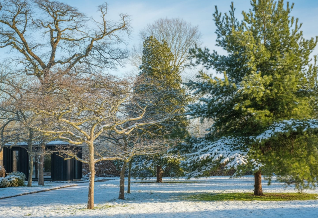 Locsolás télen? Igen – a fák élete múlhat rajta