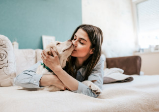Friss kutatás: aki kutyát tart, egészségesebb és tovább is él