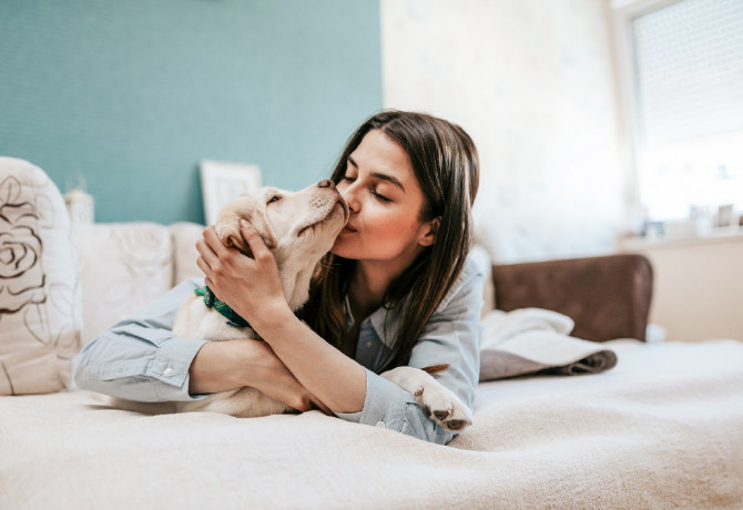 Friss kutatás: aki kutyát tart, egészségesebb és tovább is él