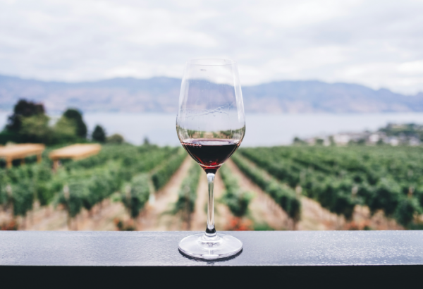 Minden, amit a borról tudni érdemes - egy nemzetközi Master of Wine szerint