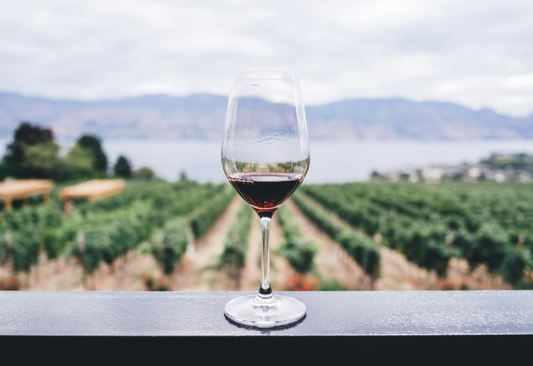 Minden, amit a borról tudni érdemes - egy nemzetközi Master of Wine szerint