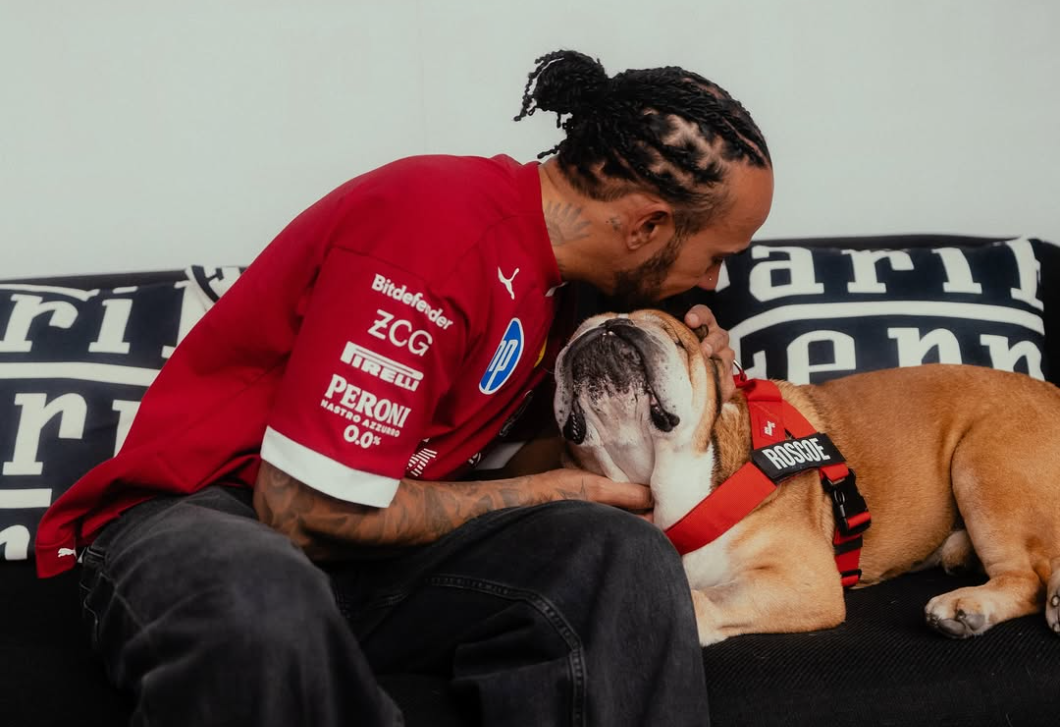 A szív megszakad: a kórházból posztolt Lewis Hamilton – a kutyusáról van szó