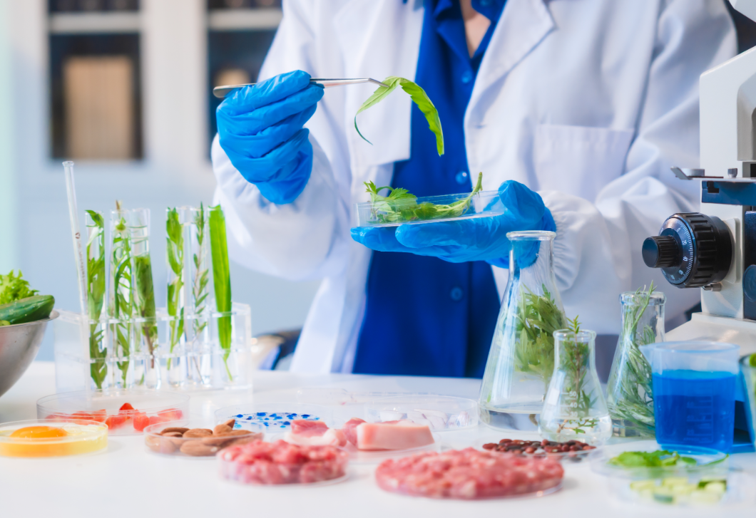 Kevesebb élelmiszer-hulladék – mesterséges intelligencia a konyhai fenntarthatóságért