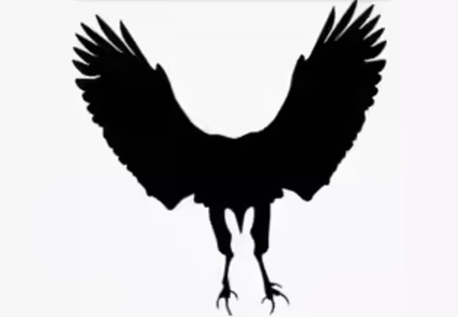 Sas vagy nyúl? Amit először meglátsz a képen, elárulja a legnagyobb félelmedet, főkép