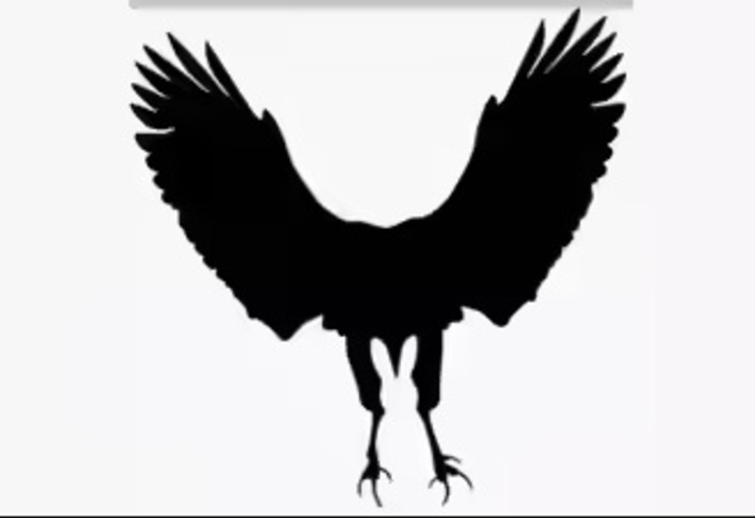 Sas vagy nyúl? Amit először meglátsz a képen, elárulja a legnagyobb félelmedet