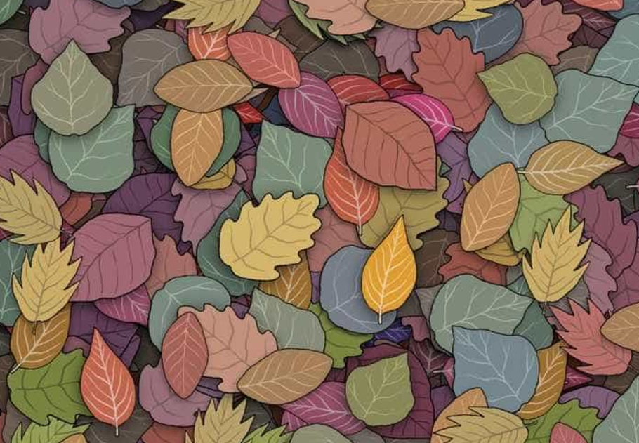 Sasszemed van, ha 6 másodperc alatt kiszúrod a békát a levelek között, főkép