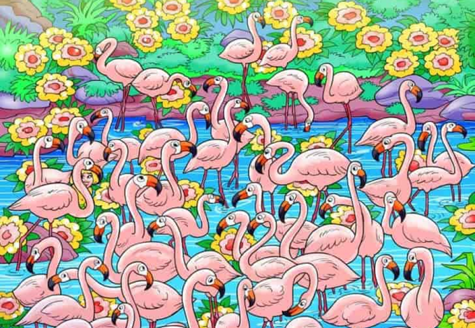 Kiemelkedő képességeid vannak, ha megtalálod a lányt a flamingók között 6 másodperc alatt