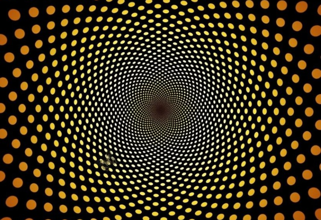 Sasszemed van, ha 13 másodperc alatt megtalálod az elrejtett pillangót a képen