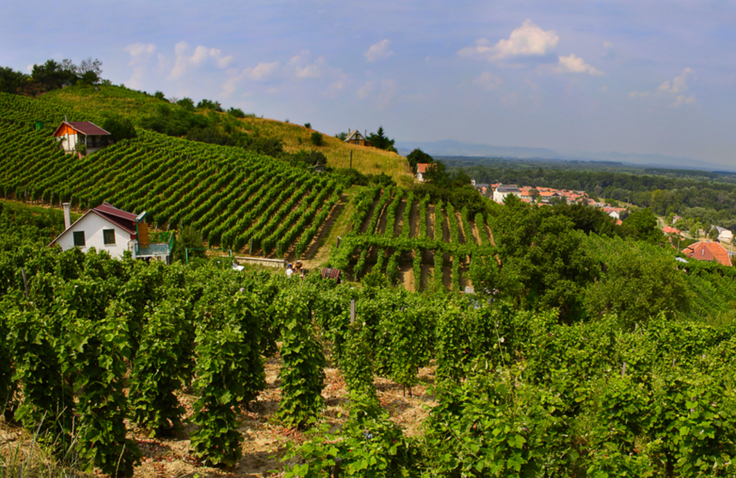Őszi élmények az ország különböző pontjain – kirándulás, kultúra és gasztronómia