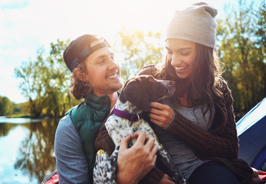 5 jel, hogy megta...