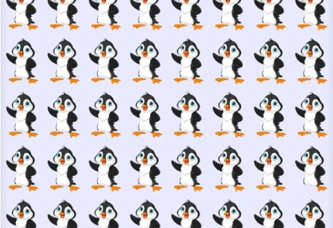 Csak a legmagasabb IQ-jú emberek találják meg 10 mp alatt a különc pingvint