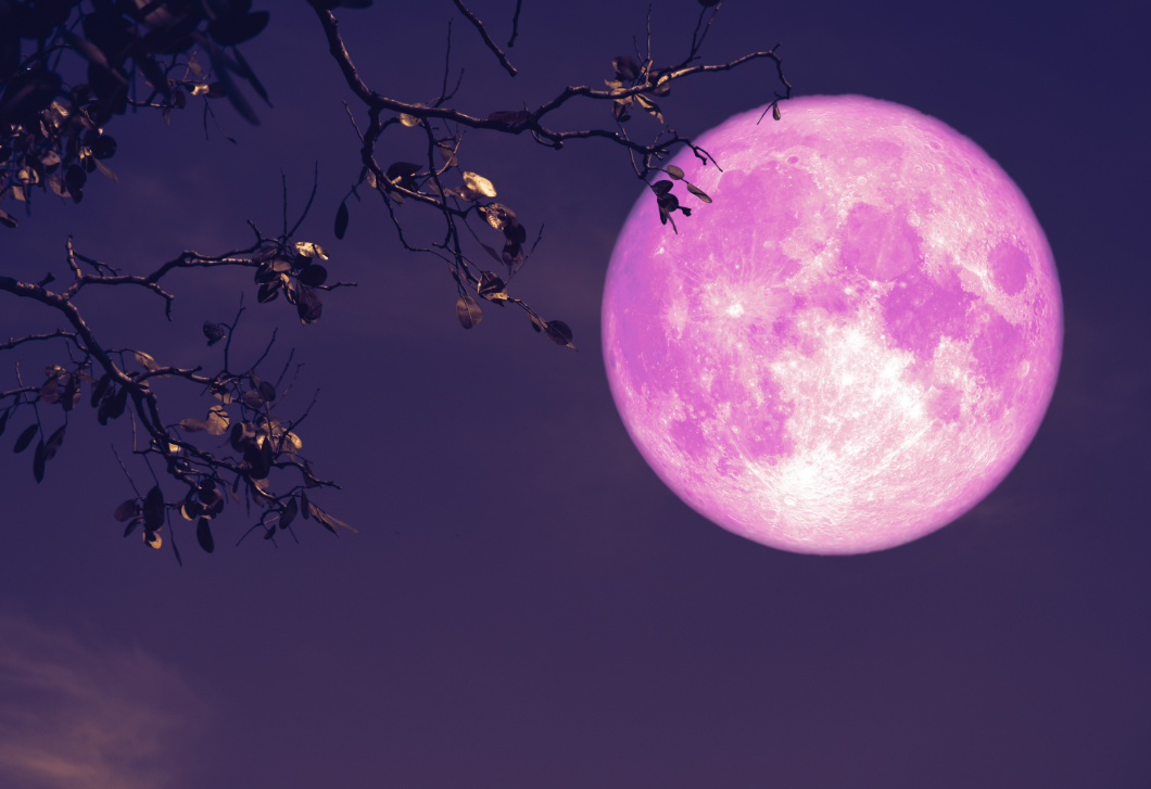 5 jelentős változás, amit megtapasztalhatsz az áprilisi rózsaszín telihold után