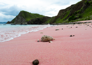 A világ legszebb rózsaszín tengerpartjai, melyek mindenkit elvarázsolnak