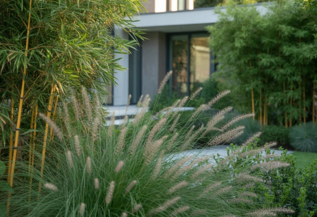 Belátnak a kertedbe? Ez a 7 növény többet érhet, mint egy magas kerítés