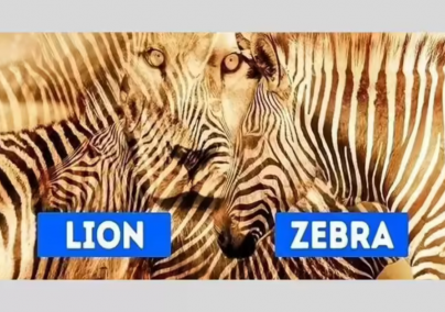 Íme a személ...