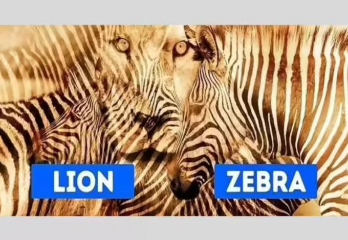 Íme a személ...