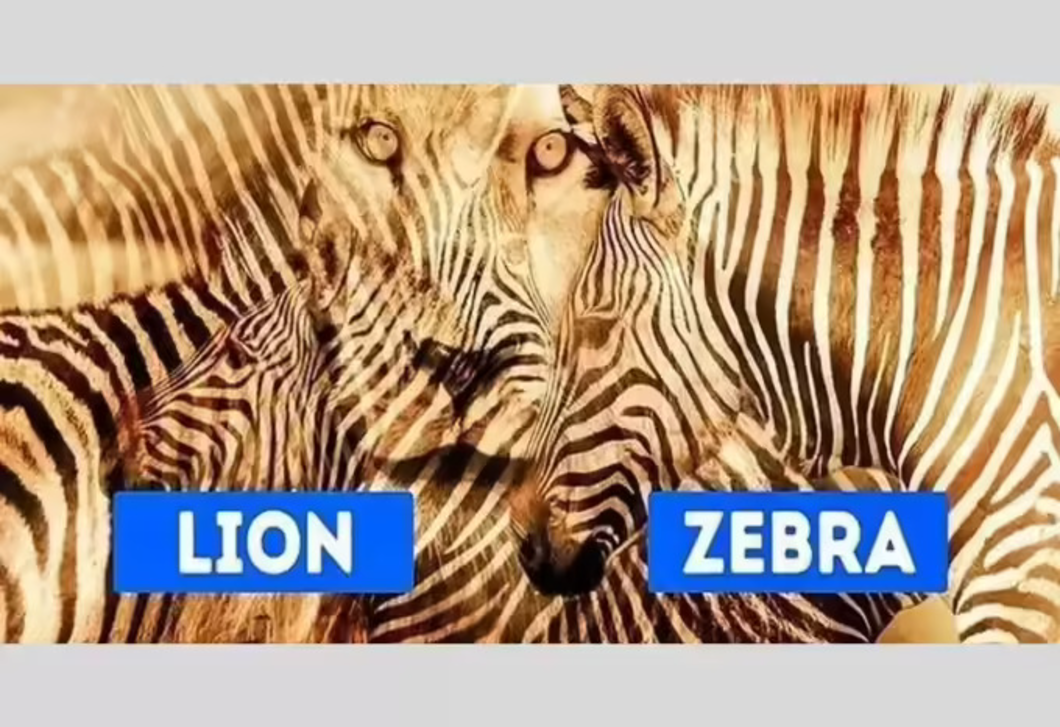 Íme a személyiségteszt, ami felfedi, mennyire vagy félénk