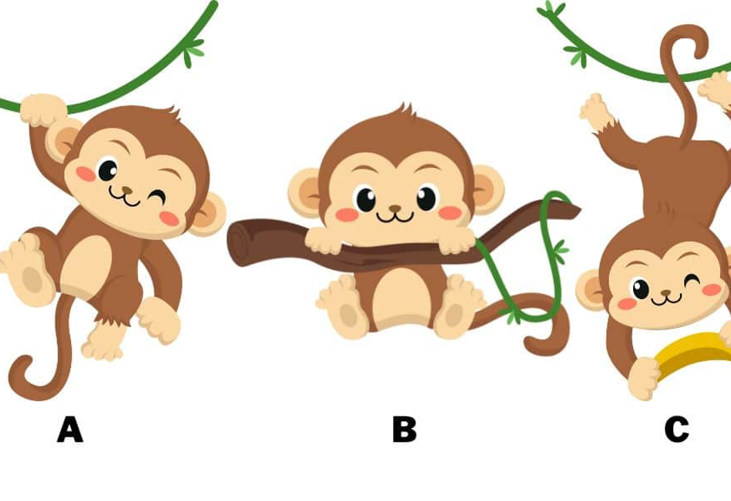 Melyik majmot választod? Elárulja, hogy mások, mit szeretnek benned 