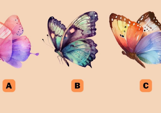  Melyik pillangót választod? Elárulja,melyik tulajdonságod tesz sikeressé