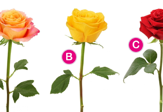 Melyik rózsát választod? Elárulja, milyen társra vágysz a szerelemben