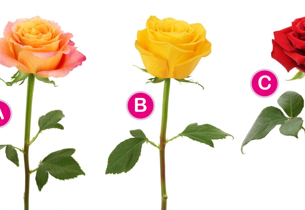 Melyik rózsát választod? Elárulja, milyen társra vágysz a szerelemben